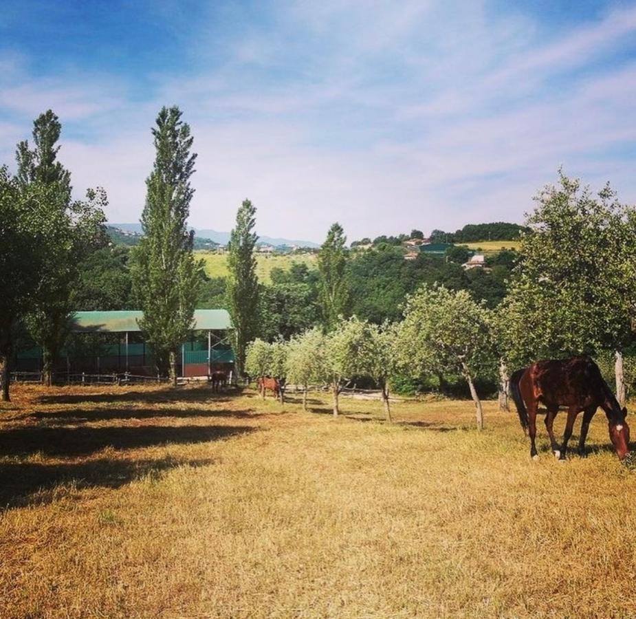 Il Nido Della Colombaia Bed and Breakfast San Nicola Manfredi Exterior foto